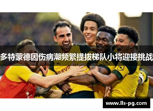 多特蒙德因伤病潮频繁提拔梯队小将迎接挑战
