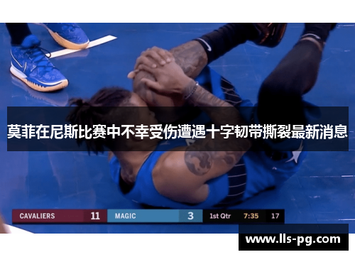 莫菲在尼斯比赛中不幸受伤遭遇十字韧带撕裂最新消息 莫菲在尼斯比赛中不幸受伤遭遇十字韧带撕裂最新消息