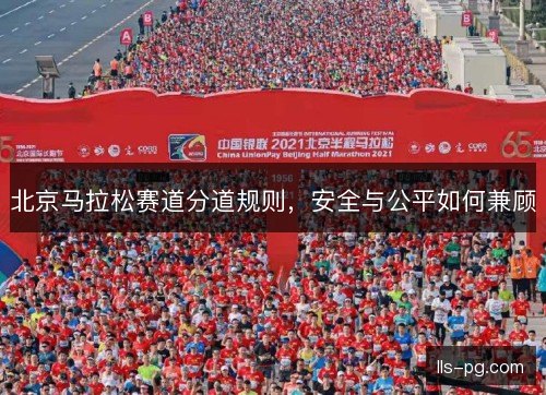 北京马拉松赛道分道规则,安全与公平如何兼顾 北京马拉松赛道分道规则,安全与公平如何兼顾